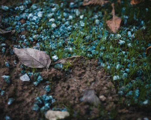 Plantenvoeding voor optimale groei